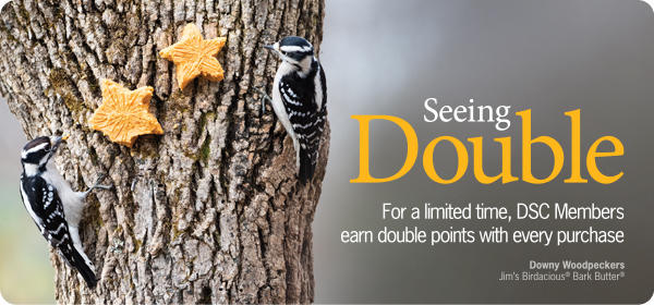 DSC Double Points